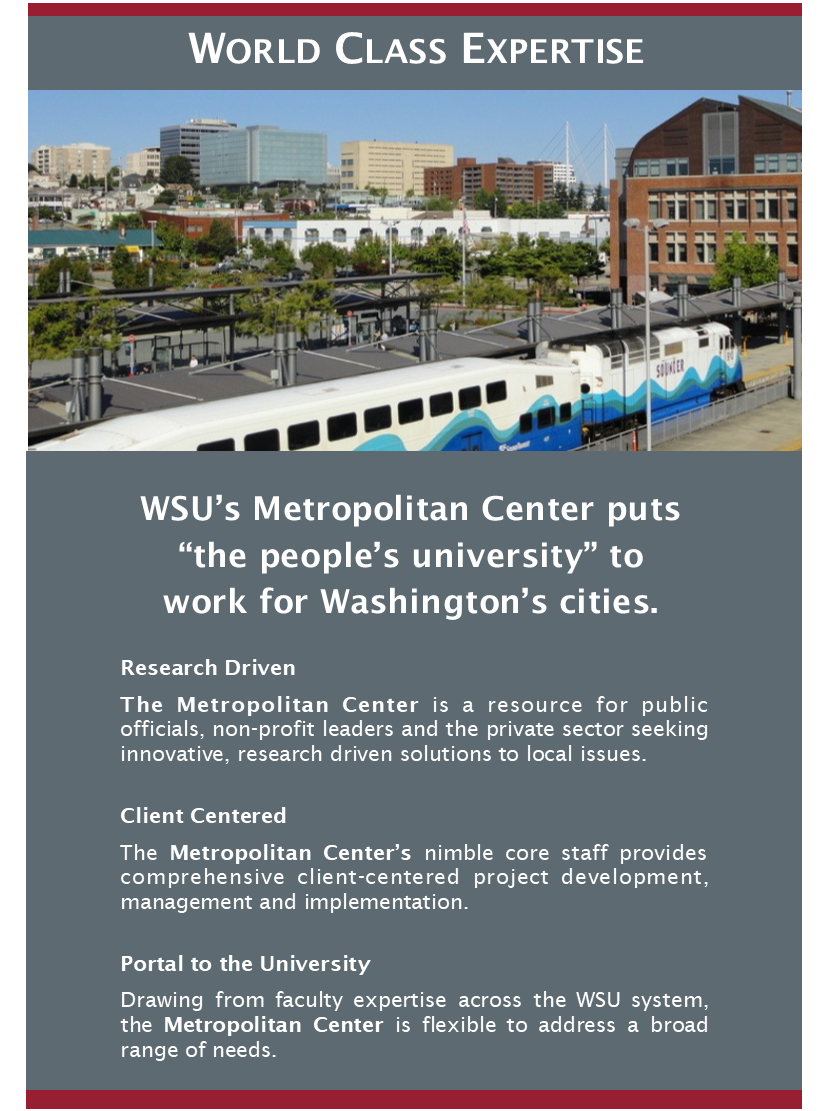 Metro Center flyer: "World Class Expertise"