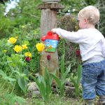 Toddler watering plants