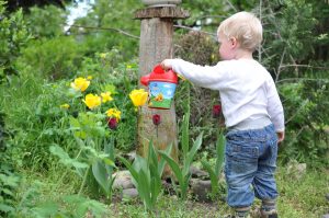 Toddler boy watering plants