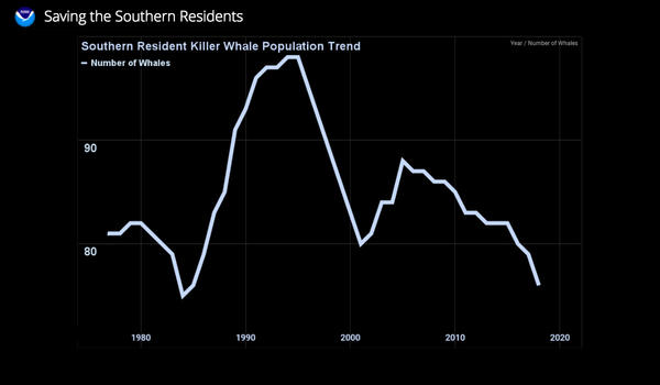 Southern Resident Population